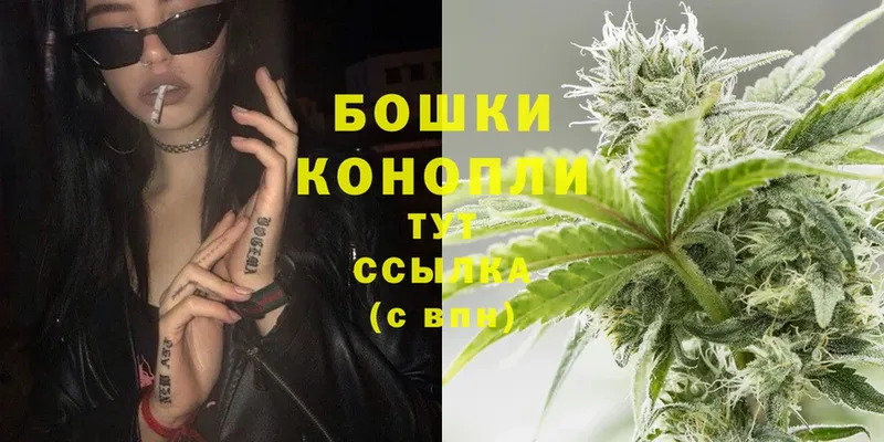 наркотики  Бородино  МАРИХУАНА SATIVA & INDICA 